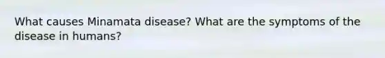 What causes Minamata disease? What are the symptoms of the disease in humans?