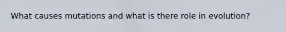What causes mutations and what is there role in evolution?