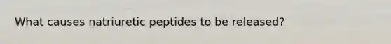 What causes natriuretic peptides to be released?