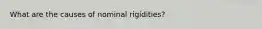 What are the causes of nominal rigidities?