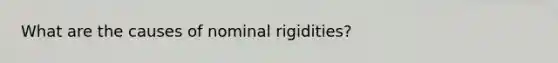 What are the causes of nominal rigidities?