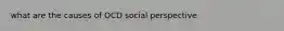 what are the causes of OCD social perspective