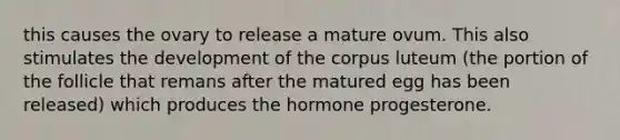 this causes the ovary to release a mature ovum. This also stimulates the development of the corpus luteum (the portion of the follicle that remans after the matured egg has been released) which produces the hormone progesterone.