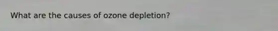 What are the causes of ozone depletion?