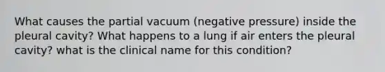 What causes the partial vacuum (negative pressure) inside the pleural cavity? What happens to a lung if air enters the pleural cavity? what is the clinical name for this condition?