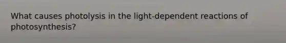 What causes photolysis in the light-dependent reactions of photosynthesis?