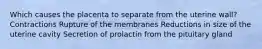 Which causes the placenta to separate from the uterine wall? Contractions Rupture of the membranes Reductions in size of the uterine cavity Secretion of prolactin from the pituitary gland