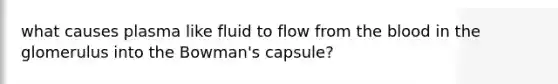 what causes plasma like fluid to flow from the blood in the glomerulus into the Bowman's capsule?