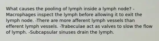 What causes the pooling of lymph inside a lymph node? -Macrophages inspect the lymph before allowing it to exit the lymph node. -There are more afferent lymph vessels than efferent lymph vessels. -Trabeculae act as valves to slow the flow of lymph. -Subcapsular sinuses drain the lymph.