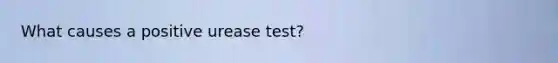 What causes a positive urease test?