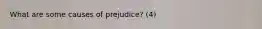 What are some causes of prejudice? (4)