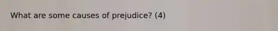 What are some causes of prejudice? (4)