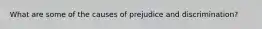 What are some of the causes of prejudice and discrimination?