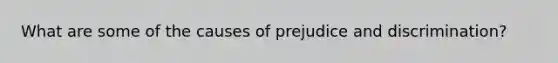 What are some of the causes of prejudice and discrimination?