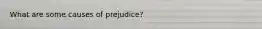 What are some causes of prejudice?