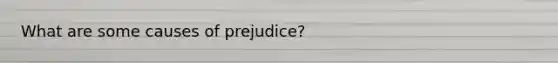 What are some causes of prejudice?