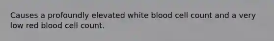 Causes a profoundly elevated white blood cell count and a very low red blood cell count.