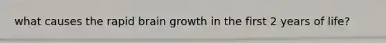 what causes the rapid brain growth in the first 2 years of life?