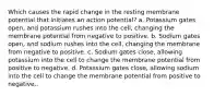 Which causes the rapid change in the resting membrane potential that initiates an action potential? a. Potassium gates open, and potassium rushes into the cell, changing the membrane potential from negative to positive. b. Sodium gates open, and sodium rushes into the cell, changing the membrane from negative to positive. c. Sodium gates close, allowing potassium into the cell to change the membrane potential from positive to negative. d. Potassium gates close, allowing sodium into the cell to change the membrane potential from positive to negative..