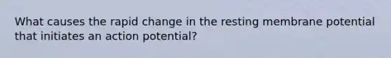 What causes the rapid change in the resting membrane potential that initiates an action potential?