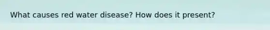 What causes red water disease? How does it present?