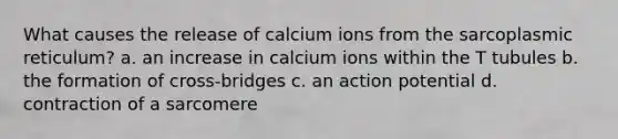 What causes the release of calcium ions from the sarcoplasmic reticulum? a. an increase in calcium ions within the T tubules b. the formation of cross-bridges c. an action potential d. contraction of a sarcomere