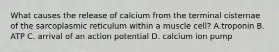 What causes the release of calcium from the terminal cisternae of the sarcoplasmic reticulum within a muscle cell? A.troponin B. ATP C. arrival of an action potential D. calcium ion pump