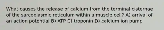 What causes the release of calcium from the terminal cisternae of the sarcoplasmic reticulum within a muscle cell? A) arrival of an action potential B) ATP C) troponin D) calcium ion pump