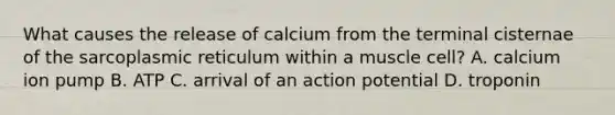 What causes the release of calcium from the terminal cisternae of the sarcoplasmic reticulum within a muscle cell? A. calcium ion pump B. ATP C. arrival of an action potential D. troponin