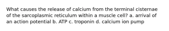 What causes the release of calcium from the terminal cisternae of the sarcoplasmic reticulum within a muscle cell? a. arrival of an action potential b. ATP c. troponin d. calcium ion pump