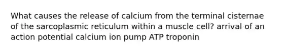 What causes the release of calcium from the terminal cisternae of the sarcoplasmic reticulum within a muscle cell? arrival of an action potential calcium ion pump ATP troponin