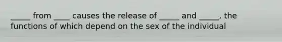 _____ from ____ causes the release of _____ and _____, the functions of which depend on the sex of the individual