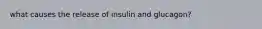 what causes the release of insulin and glucagon?