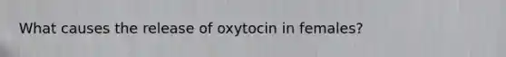 What causes the release of oxytocin in females?