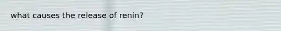 what causes the release of renin?