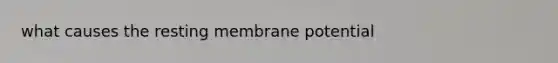 what causes the resting membrane potential