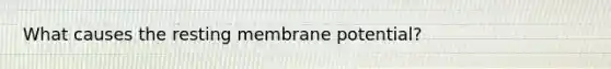 What causes the resting membrane potential?