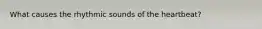 What causes the rhythmic sounds of the heartbeat?