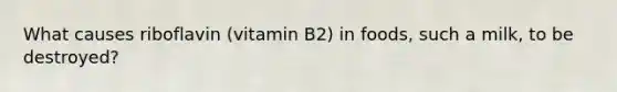 What causes riboflavin (vitamin B2) in foods, such a milk, to be destroyed?