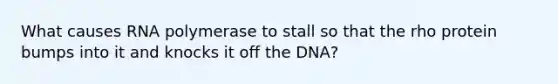 What causes RNA polymerase to stall so that the rho protein bumps into it and knocks it off the DNA?