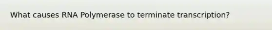 What causes RNA Polymerase to terminate transcription?