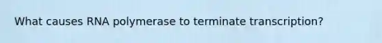 What causes RNA polymerase to terminate transcription?