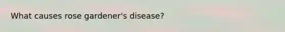 What causes rose gardener's disease?