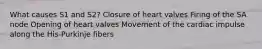 What causes S1 and S2? Closure of heart valves Firing of the SA node Opening of heart valves Movement of the cardiac impulse along the His-Purkinje fibers