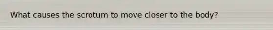 What causes the scrotum to move closer to the body?