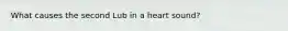 What causes the second Lub in a heart sound?