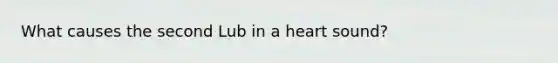 What causes the second Lub in a heart sound?