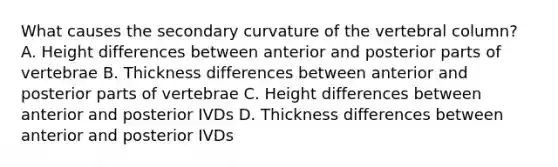 What causes the secondary curvature of the vertebral column? A. Height differences between anterior and posterior parts of vertebrae B. Thickness differences between anterior and posterior parts of vertebrae C. Height differences between anterior and posterior IVDs D. Thickness differences between anterior and posterior IVDs