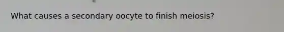 What causes a secondary oocyte to finish meiosis?