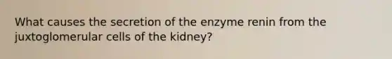 What causes the secretion of the enzyme renin from the juxtoglomerular cells of the kidney?